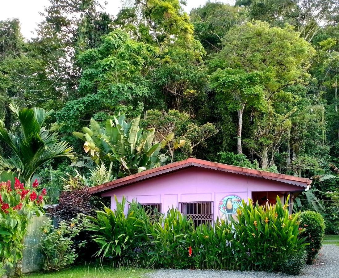 Casa Alegra Apartment Puerto Viejo de Talamanca Exterior foto