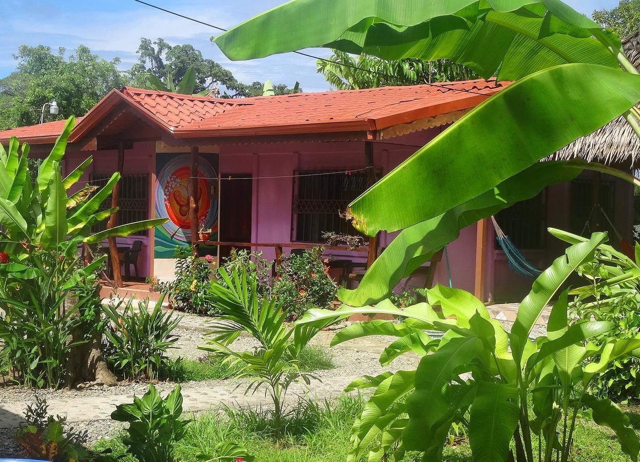 Casa Alegra Apartment Puerto Viejo de Talamanca Exterior foto