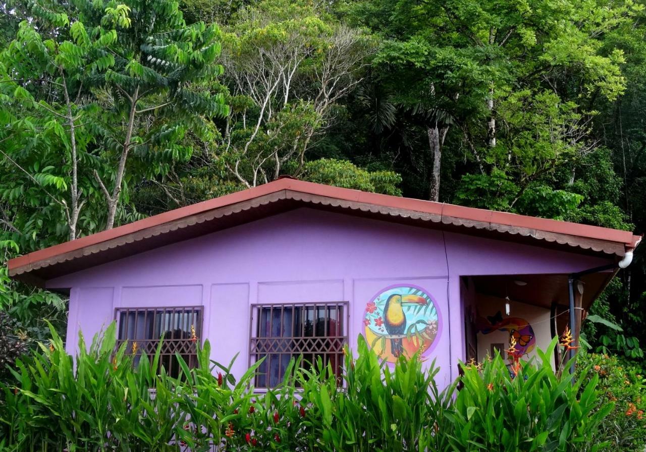 Casa Alegra Apartment Puerto Viejo de Talamanca Exterior foto